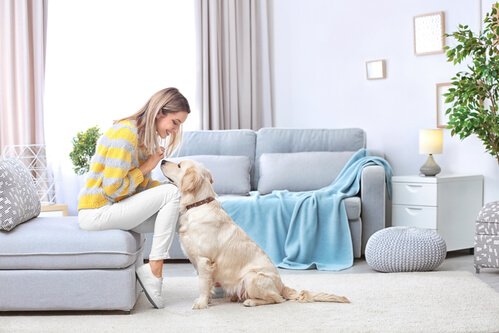 HVAC Maintenance for Pet Owners